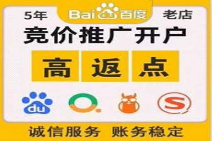 深度解析：百度竞价代理的优化策略与成功案例